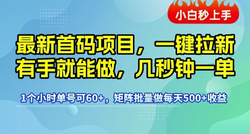 最新首码项目，一键拉新有手就能做，几秒钟一单，1个小时单号可60+，矩阵批量做每天5张【揭秘】-辉硕副业