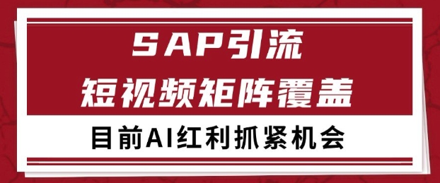 小红书某音sap赛道引流获客 自热矩阵日引200+【揭秘】-辉硕副业