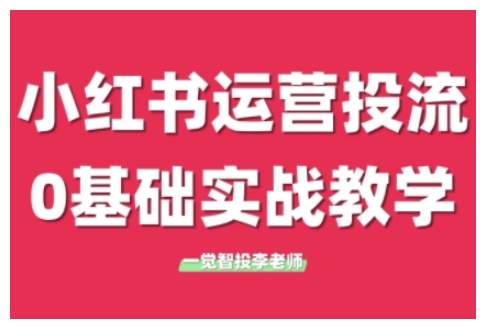 小红书运营投流，小红书广告投放从0到1的实战课，学完即可开始投放（更新）-辉硕副业