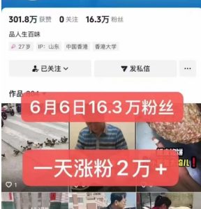 外面卖5000最新抖音搬运涨粉技术，新玩法，一分钟一条，一天涨粉2W，苹果安卓都可用-辉硕副业