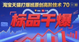 淘宝天猫打爆班原创高阶技术第70期:标品干爆-辉硕副业