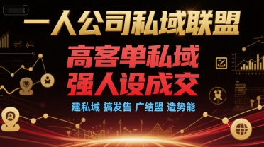 一人公司私域联盟，高客单私域，强人设成交，建私域 搞发售 广结盟 造势能-辉硕副业