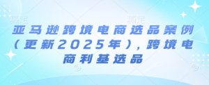 亚马逊跨境电商选品案例(更新2025年7月),跨境电商利基选品-辉硕副业