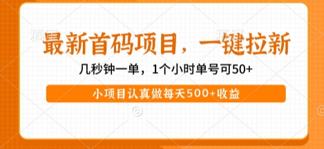 最新首码项目，操作最简单，收益高，一键拉新，1个小时单号可50+，小项目认真做每天5张+收益【揭秘】-辉硕副业