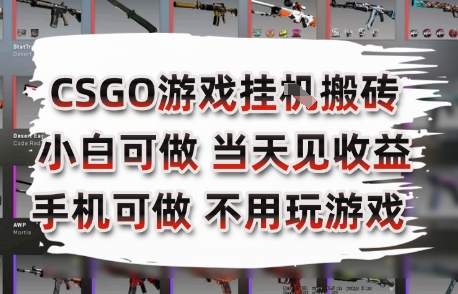 CSGO游戏挂G搬砖，小白纯手机即可操作，不用电脑打游戏，日入3张+，副业网创项目【揭秘】-辉硕副业