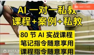 AI指令实战课,课程+案例,80节AI实战课程,笔记指令随意享用,课程指令随意享用(更新7月)-辉硕副业