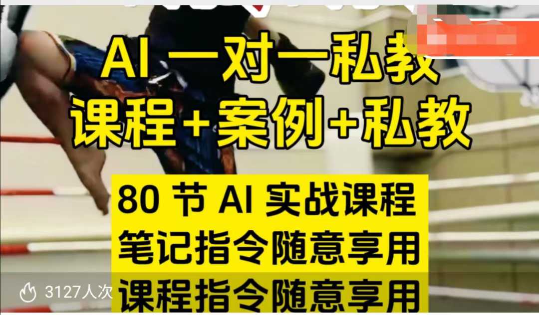 AI指令实战课，课程+案例，80节AI实战课程，笔记指令随意享用，课程指令随意享用（更新7月）-辉硕副业