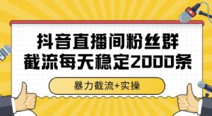 抖音直播间粉丝群截流，稳定采集数据全行业通用 2000条数据一天【揭秘】-辉硕副业