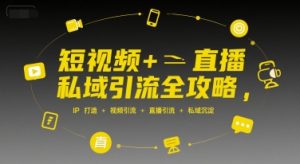 短视频+直播私域引流全攻略,IP打造 +视频引流 +直播引流 +私域沉淀-辉硕副业