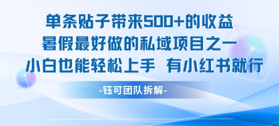 单条贴子带来5张的收益，暑假最好做的私域项目之一，小白也能轻松上手，有小红书就行-辉硕副业