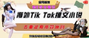 海外tiktok小说推文暴力项目,高停留率,高转化率,上手后一天搞顿饭钱不是问题-辉硕副业