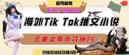 海外tiktok小说推文暴力项目，高停留率，高转化率，上手后一天搞顿饭钱不是问题-辉硕副业