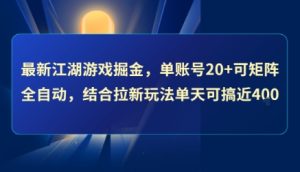 最新江湖游戏掘金,单账号20+可矩阵全自动 ,结合拉新玩法单天可搞4张+【揭秘】-辉硕副业