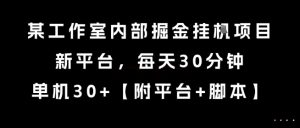 某工作室内部掘金挂G项目，新平台，每天30分钟，单机30+【揭秘】-辉硕副业