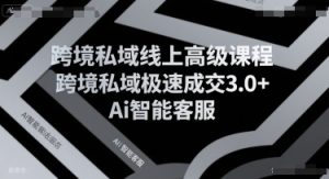 跨境私域线上高级课程,跨境私域极速成交3.0+Ai智能客服-辉硕副业
