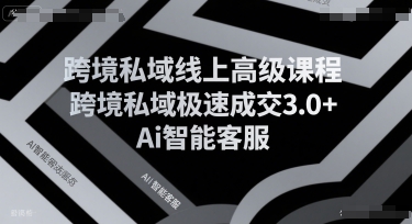 跨境私域线上高级课程，跨境私域极速成交3.0+Ai智能客服-辉硕副业