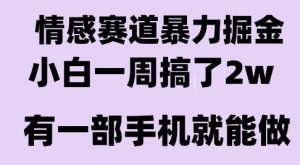 情感暴力掘金项目，新人操作一周挣了2W，长期稳定小白可做【揭秘】-辉硕副业