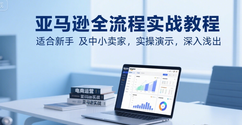 亚马逊全流程实战教程，适合新手及中小卖家，实操演示，深入浅出-辉硕副业