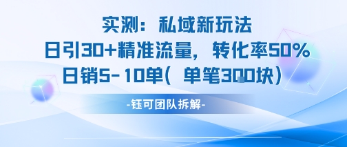 实测私域新玩法日引30加精准流量转化率50%日销5-10单每笔3张-辉硕副业