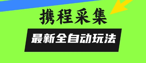 携程信息采集全自动玩法，0风控，无脑开干【揭秘】-辉硕副业