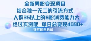 全新男粉变现项目引流人群35以上的男粉消费能力大 经过实测单日变现1k+-辉硕副业
