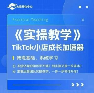 大卖家孵化中心TikTok实操课,TikTok小店成长加速器,跨境基础系统学习,一步一步带你开店-辉硕副业