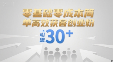 零基础零成本简单高效获客创业粉，一天引流30+-辉硕副业
