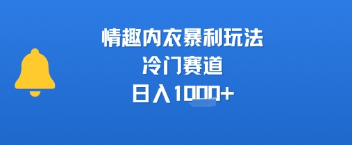 情趣内衣暴利玩法，冷门赛道，日入1k+-辉硕副业