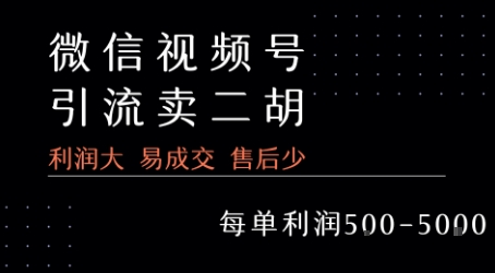 视频号卖二胡教程，利润大 易成交 售后少，一单利润5张+-辉硕副业