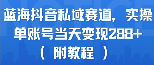 蓝海抖音私域赛道，实操单账号当天变现288+(附教程)-辉硕副业