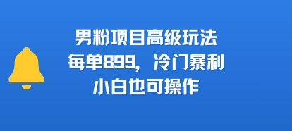 男粉项目高级玩法，每单899，冷门暴利，小白也可操作-辉硕副业