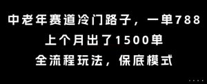 中老年赛道冷门路子，一单788，上个月出了1500单，全流程玩法，保底模式【揭秘】-辉硕副业