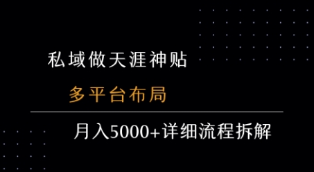 私域做天涯神贴 多平台布局 月入5k+详细流程拆解-辉硕副业