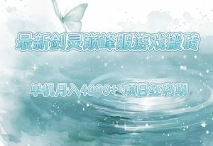 最新剑灵巅峰服游戏搬砖，项目红利期，单机稳定月入4k+操作简单好上手【揭秘】-辉硕副业