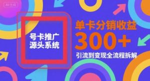 号卡推广源头系统，单卡分销收益3张+，引流到变现全流程拆解【揭秘】-辉硕副业