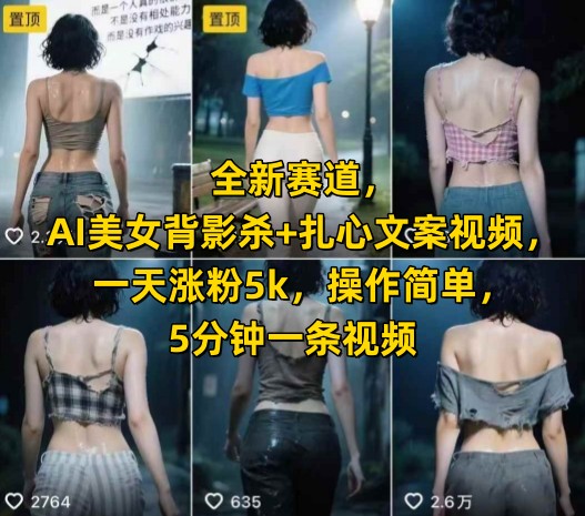 全新赛道，AI美女背影杀+扎心文案视频，一天涨粉5k，操作简单，5分钟一条视频-辉硕副业