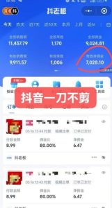 抖音短视频一刀不剪带货,不剪辑,不直播,每天发个视频,等着出单获取带货佣金-辉硕副业