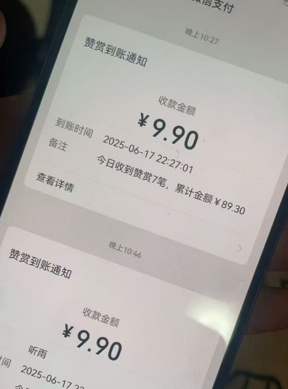 二次元男粉快速变现项目，私域卖虚拟产品，百分利润-辉硕副业