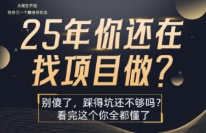 25年,你还在疯狂的找项目吗?别傻了,看完这个你都懂了【揭秘】-辉硕副业