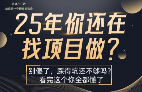 25年，你还在疯狂的找项目吗？别傻了，看完这个你都懂了【揭秘】-辉硕副业