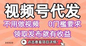 视频号代发，不用剪辑不用做视频，0门槛要求，领取发布就有收益，任务没有无上限，小白轻松上手【揭秘】-辉硕副业