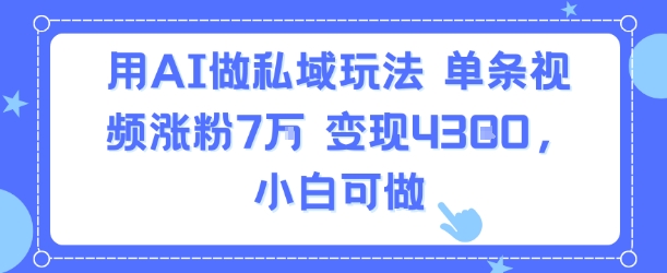 用AI做私域玩法，单条视频涨粉7W变现4.3k，小白可做-辉硕副业