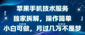 苹果手机技术服务,独家拆解,操作简单,小白可做,月过1W不是梦-辉硕副业