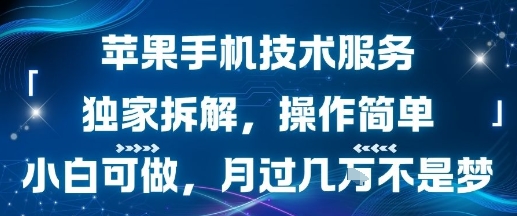 苹果手机技术服务，独家拆解，操作简单，小白可做，月过1W不是梦-辉硕副业