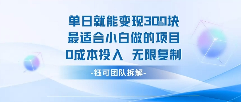 单日就能变现3张最适合小白做的项目0成本投入 无限复制-辉硕副业