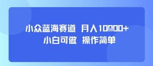 小众蓝海赛道，小白可做，操作简单，每天30分钟，月入1W+-辉硕副业