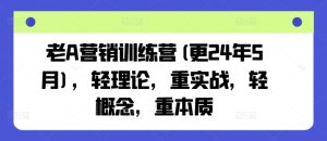 老A营销训练营(更25年8月),轻理论,重实战,轻概念,重本质-辉硕副业