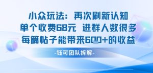 小众玩法再次刷新认知单个收费68米进群人数很多每篇帖子能带来6张的收益-辉硕副业