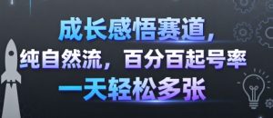 成长感悟赛道，纯自然流，百分百起号率 一天轻松多张-辉硕副业