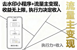 去水印小程序+流量主变现，收益无上限，执行力决定收入-辉硕副业